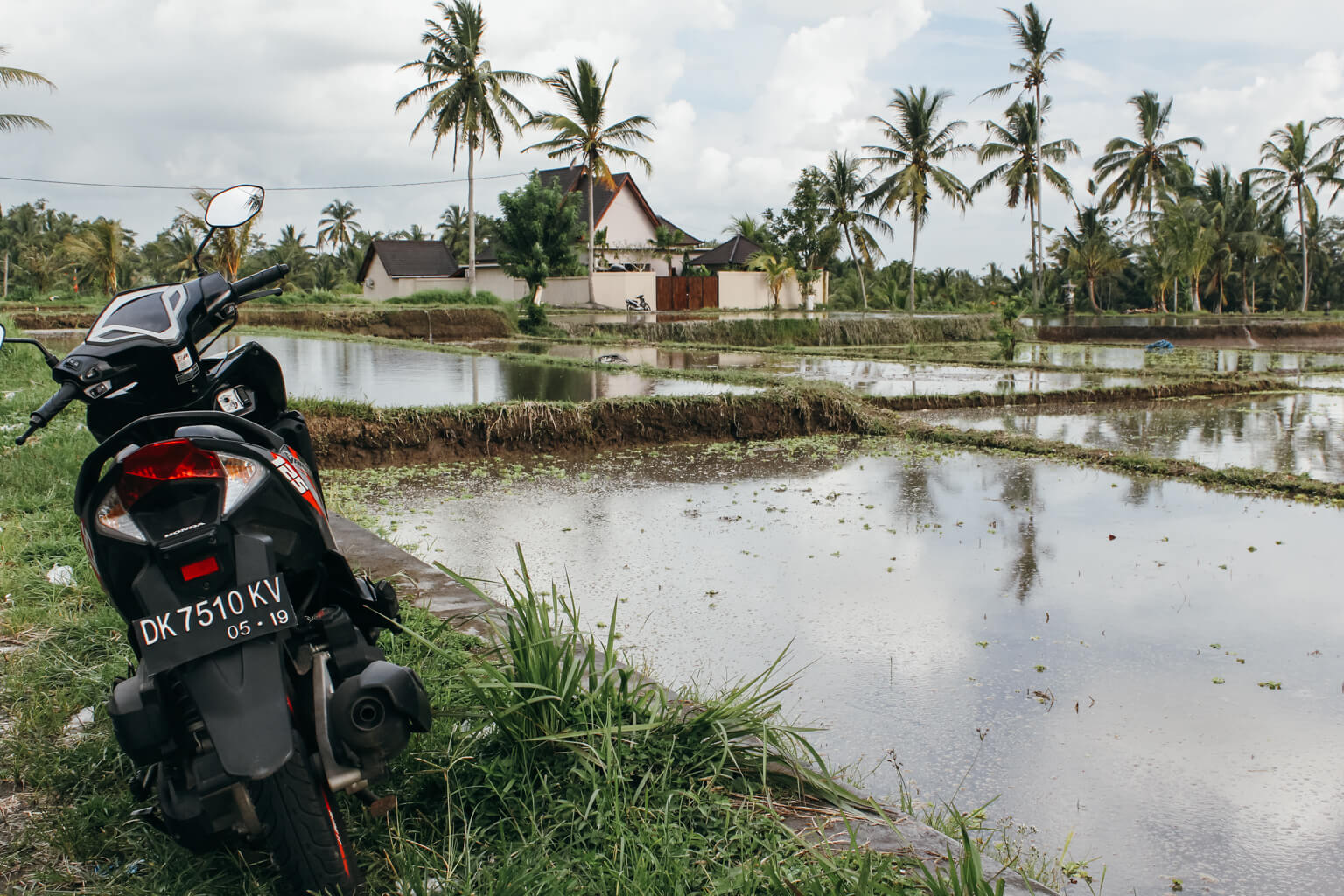 Bali City Guide: A healthy, real food, gluten-free travel guide to Bali (including Ubud, Seminyak, Canggu, the Bukit and more). 