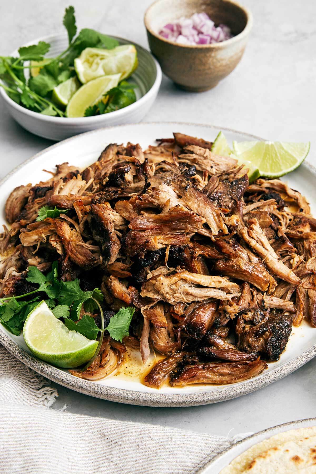 A plate of carnitas with cilantro.