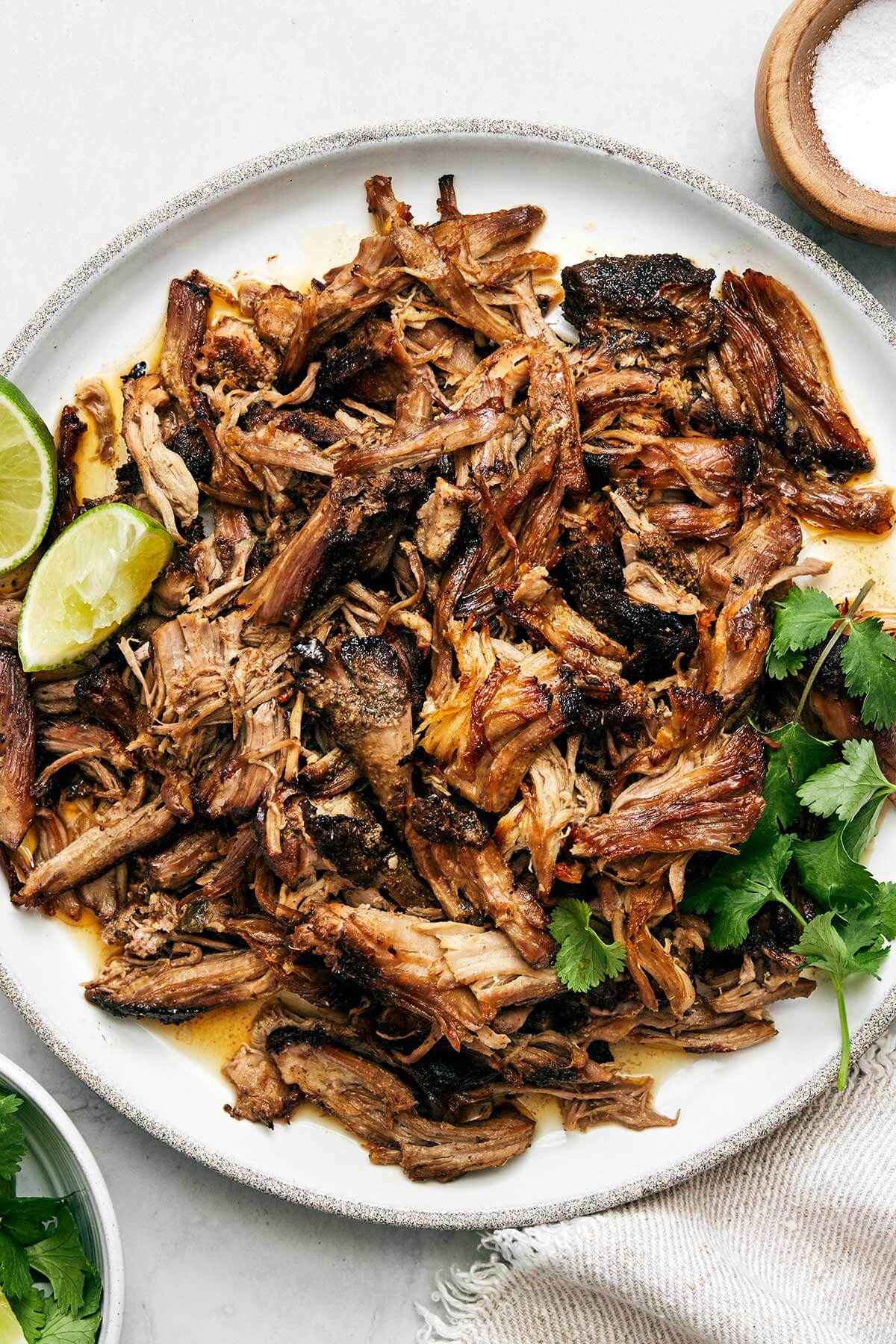 Carnitas on a plate.