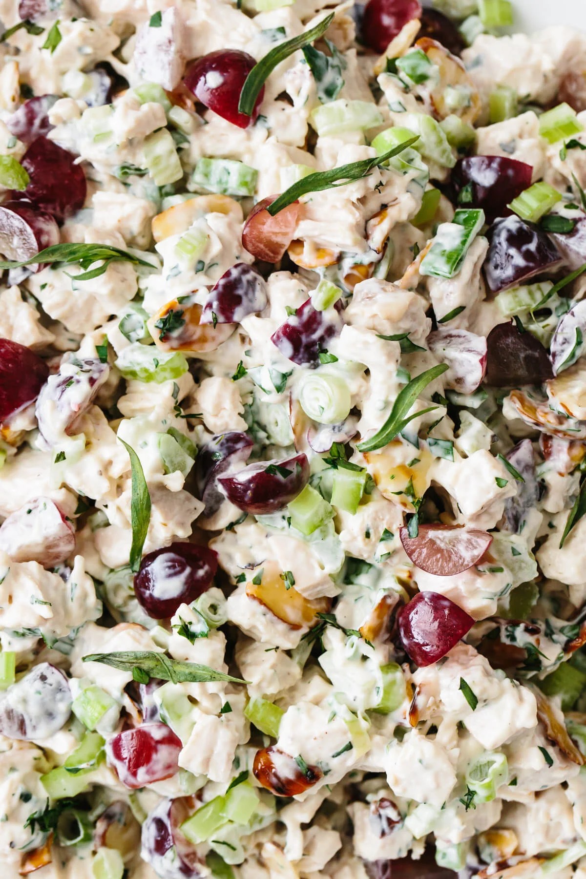 Close up photo of chicken salad.