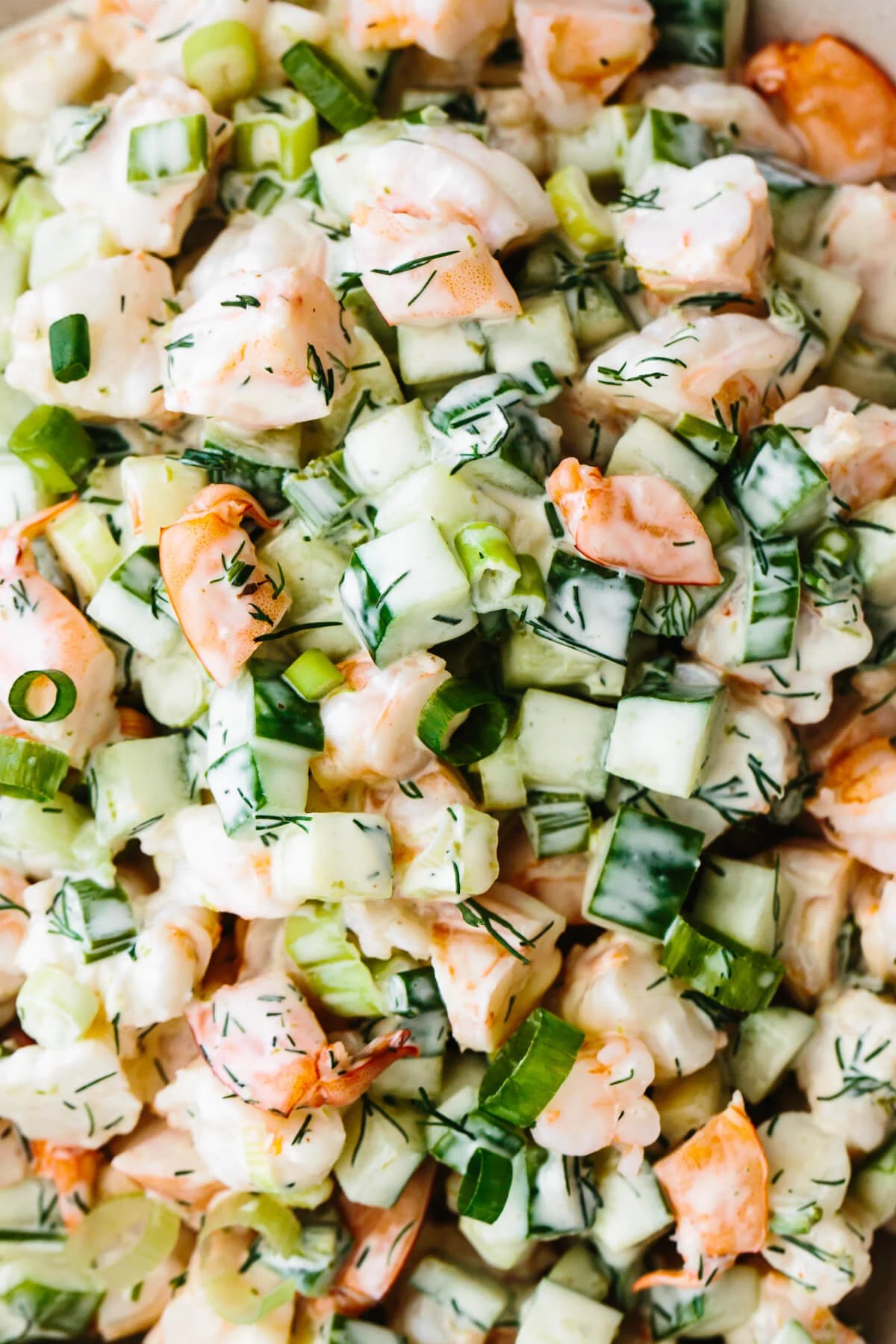 Close up of cucumber shrimp salad